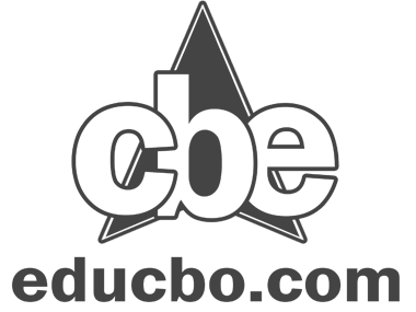 Bolivian Education Consultant